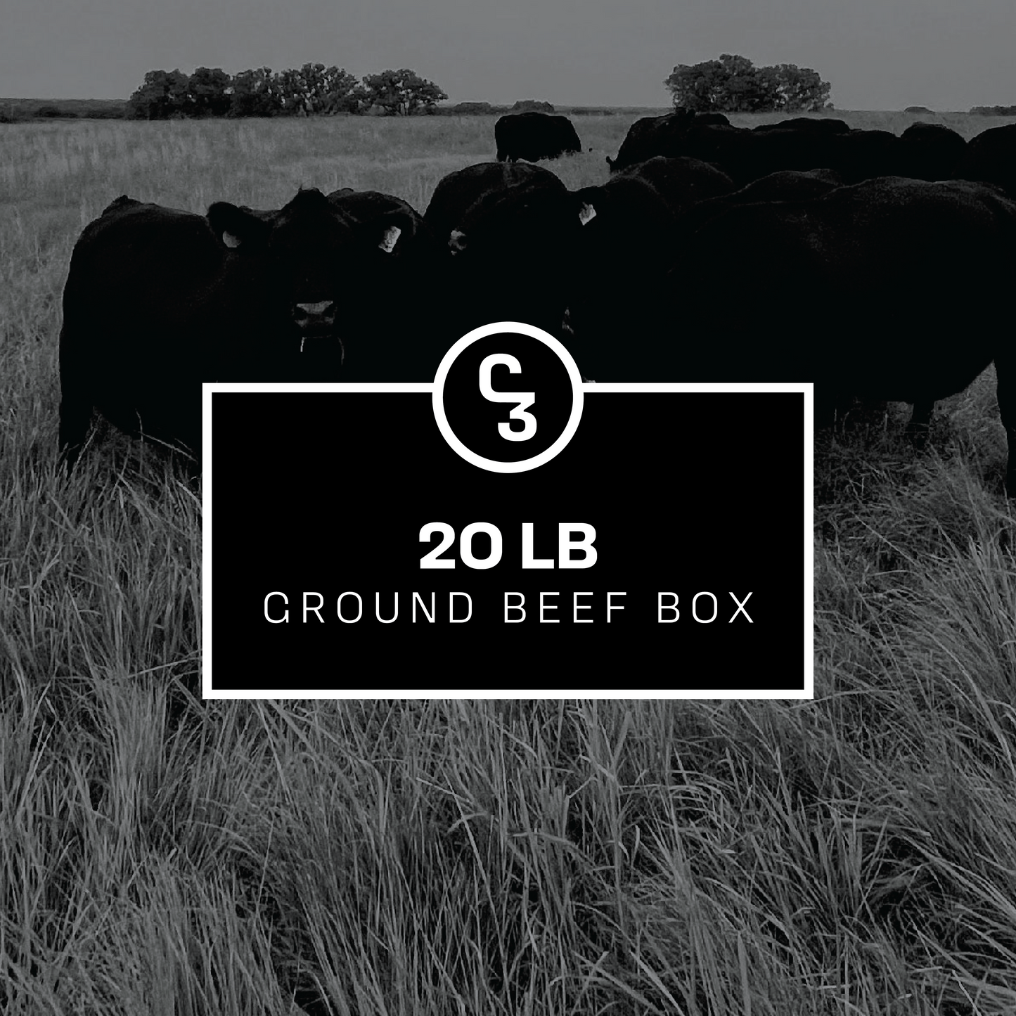 Ground Beef - 20 LB Box