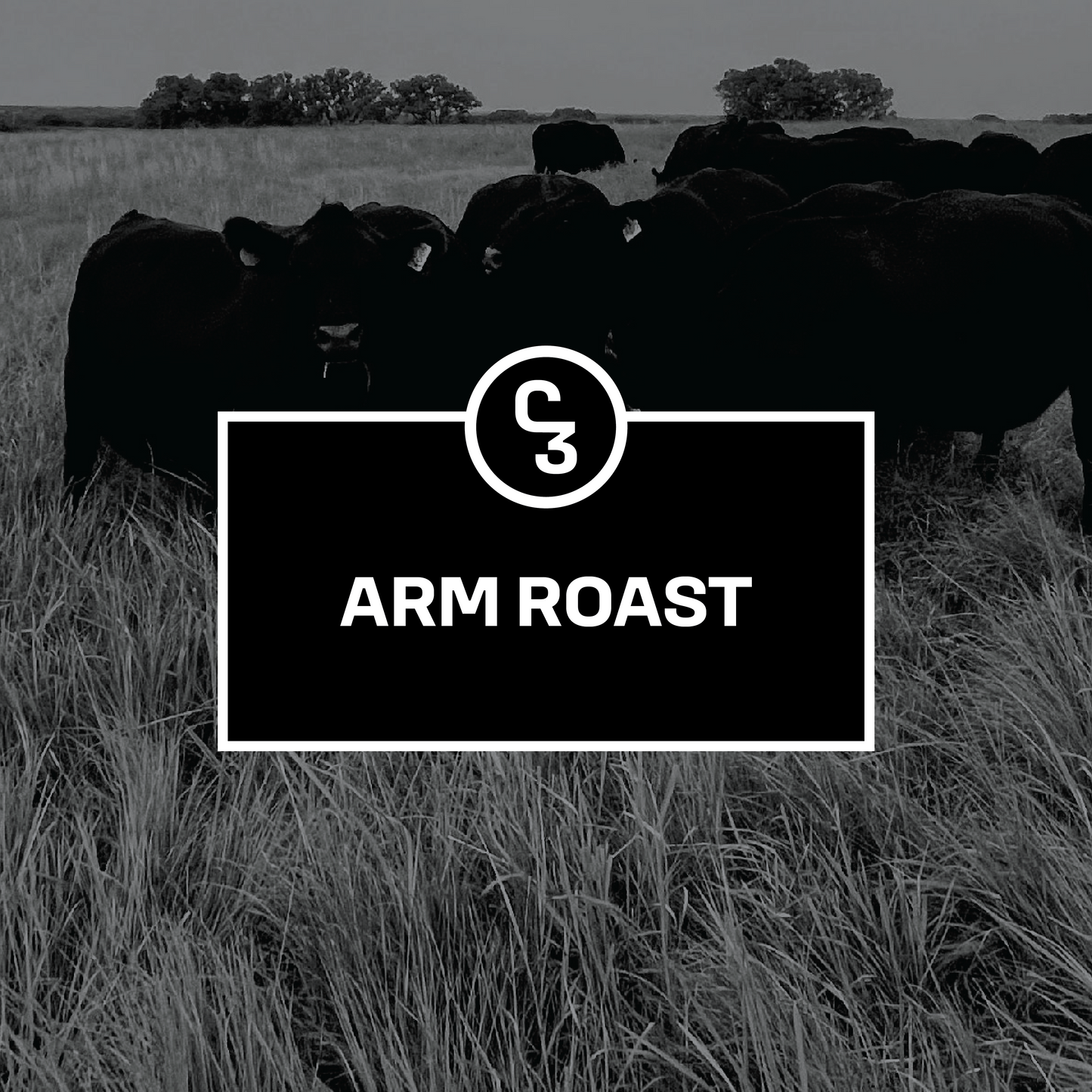 Arm Roast