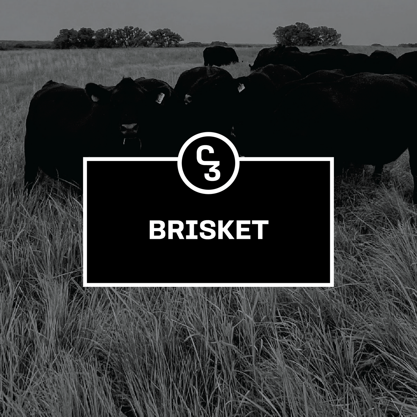Brisket