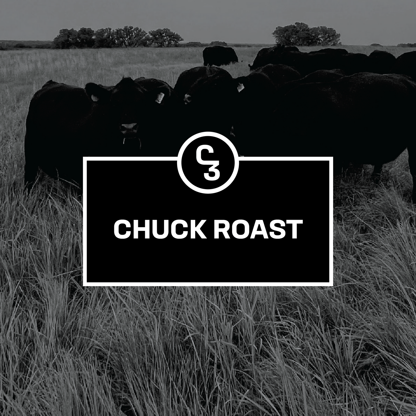 Chuck Roast