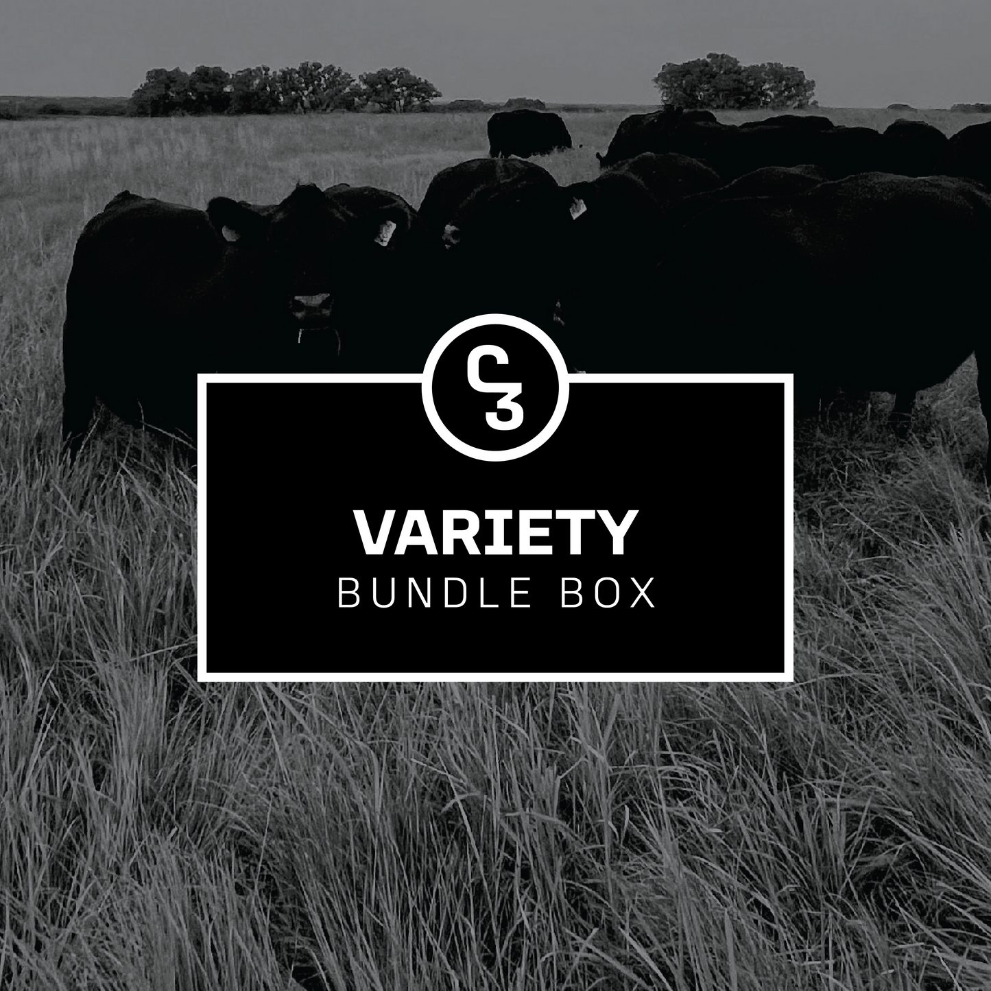 Variety Bundle Box